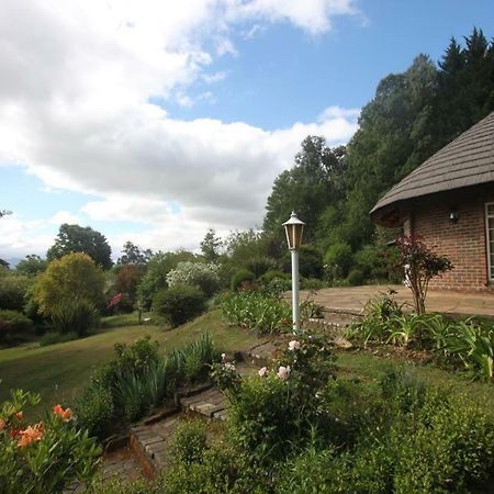 Pin Oak Cottage Underberg Luaran gambar